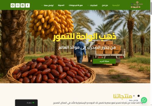 ذهب الواحة - شركة تصدير تمور مصرية فاخرة للتجار والمستوردين